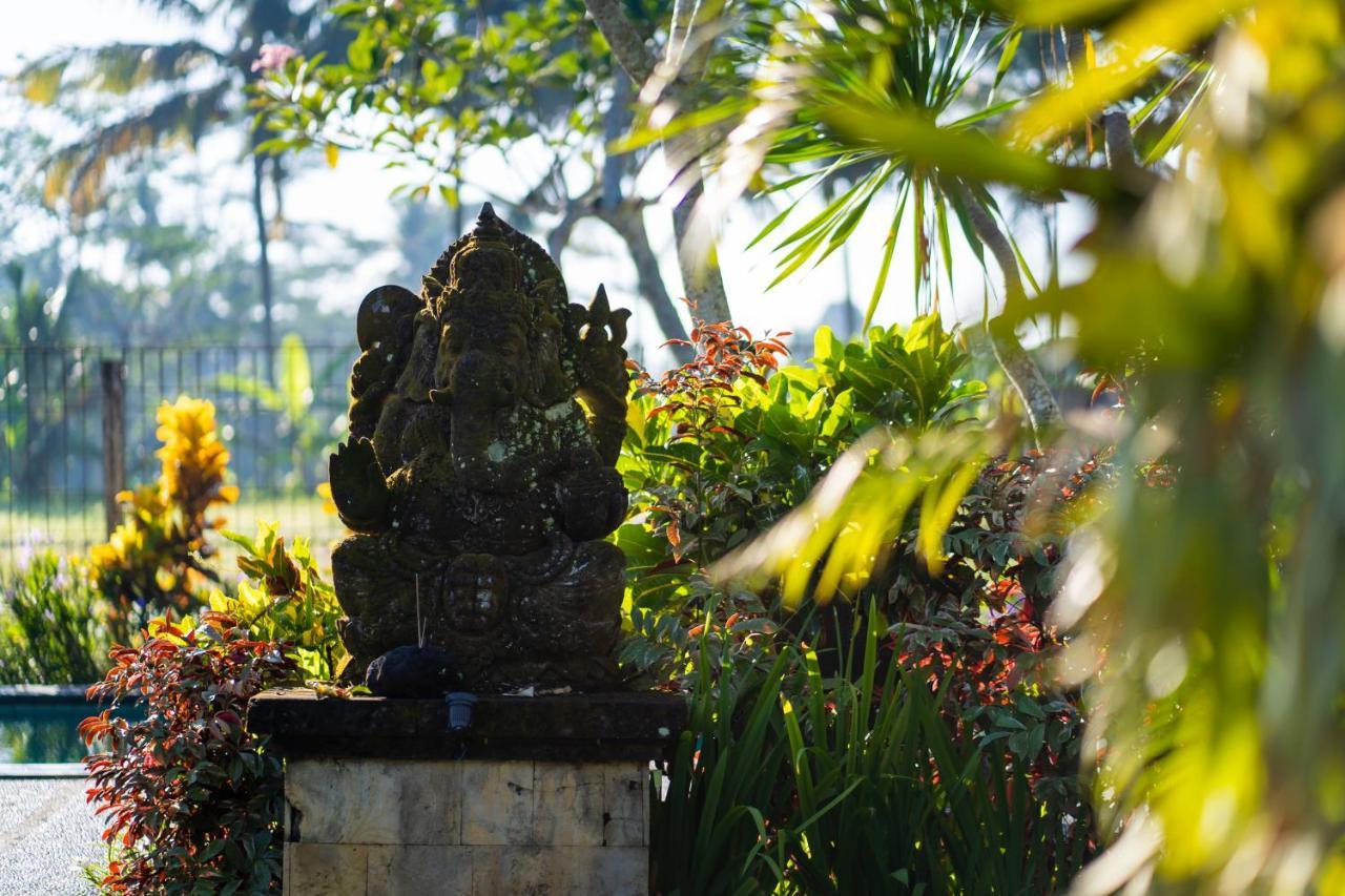 Villa Mandi Ubud Extérieur photo